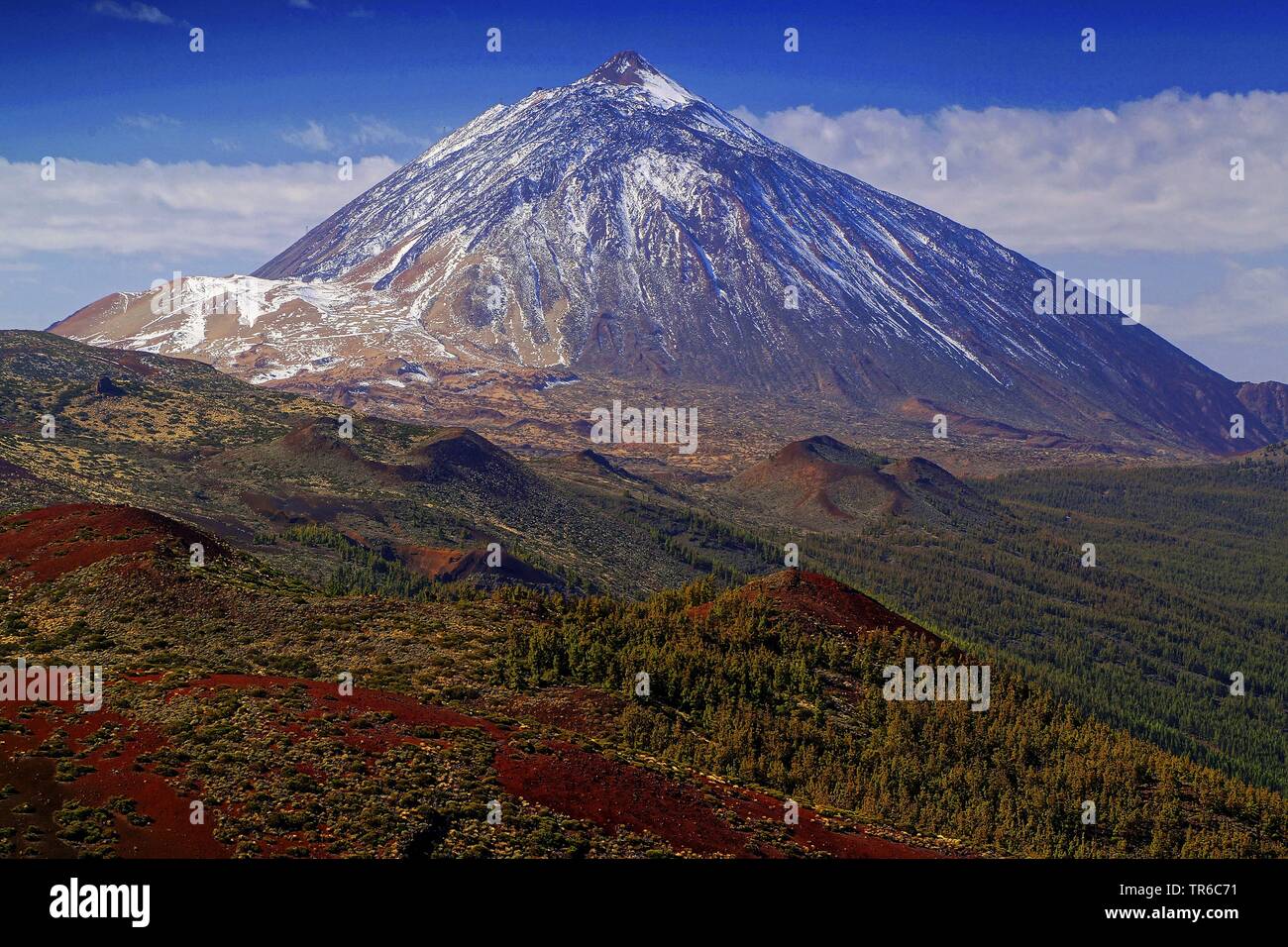 Mount Teide, Kanarische Inseln, Teneriffa Stockfoto