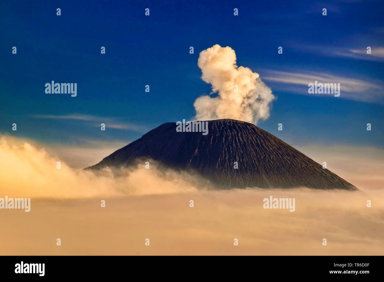 Der stratovulkan Semeru, Indonesien, Java, Bromo Tengger Semeru National Park Stockfoto