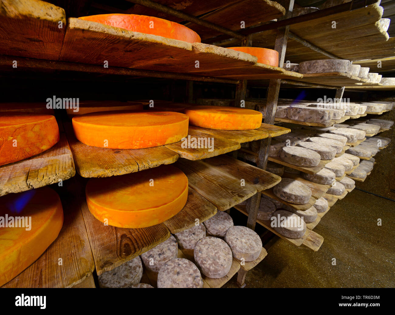 Käseproduktion in Val d'Isere Ski, Frankreich, Tarentaise Stockfoto