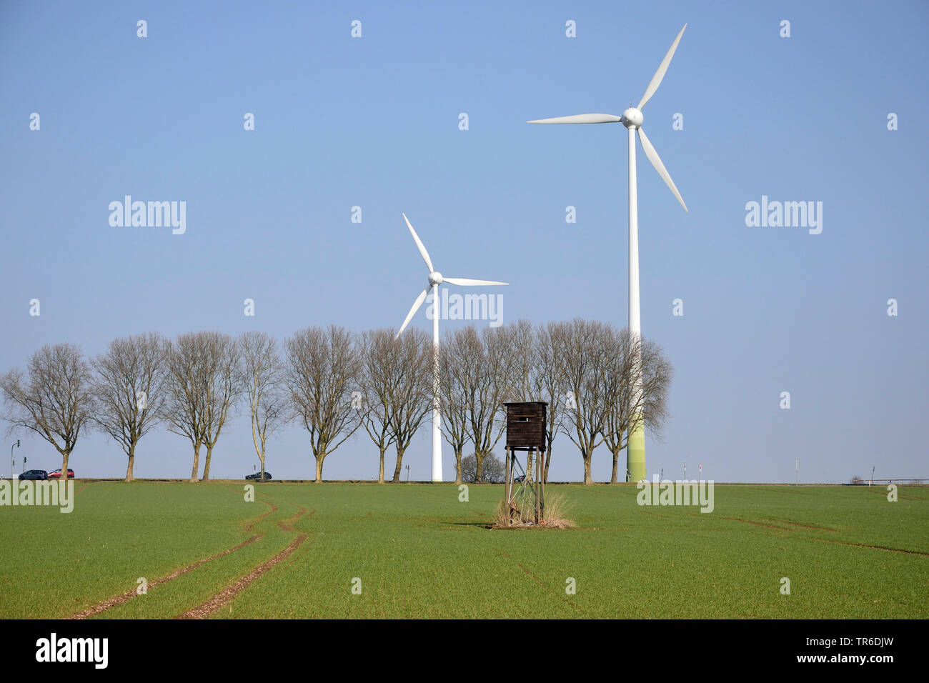 Feld Landschaft mit Ansitz, Baum Zeile und wind Räder im Frühjahr, Deutschland, Nordrhein-Westfalen Stockfoto