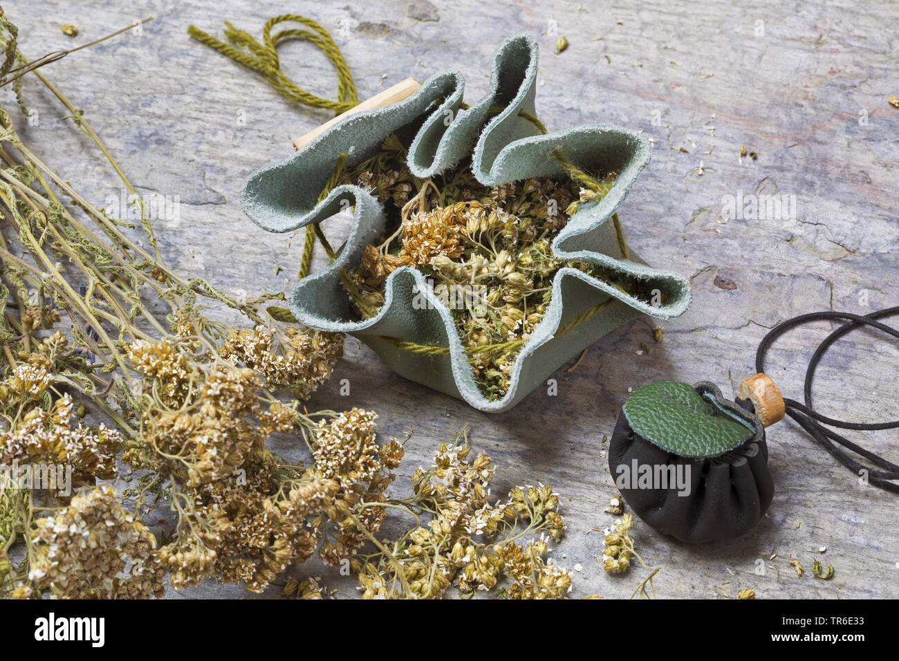 Schafgarbe, gemeinsame Schafgarbe (Achillea millefolium), selbstgemacht Medizin Beutel, Deutschland Stockfoto