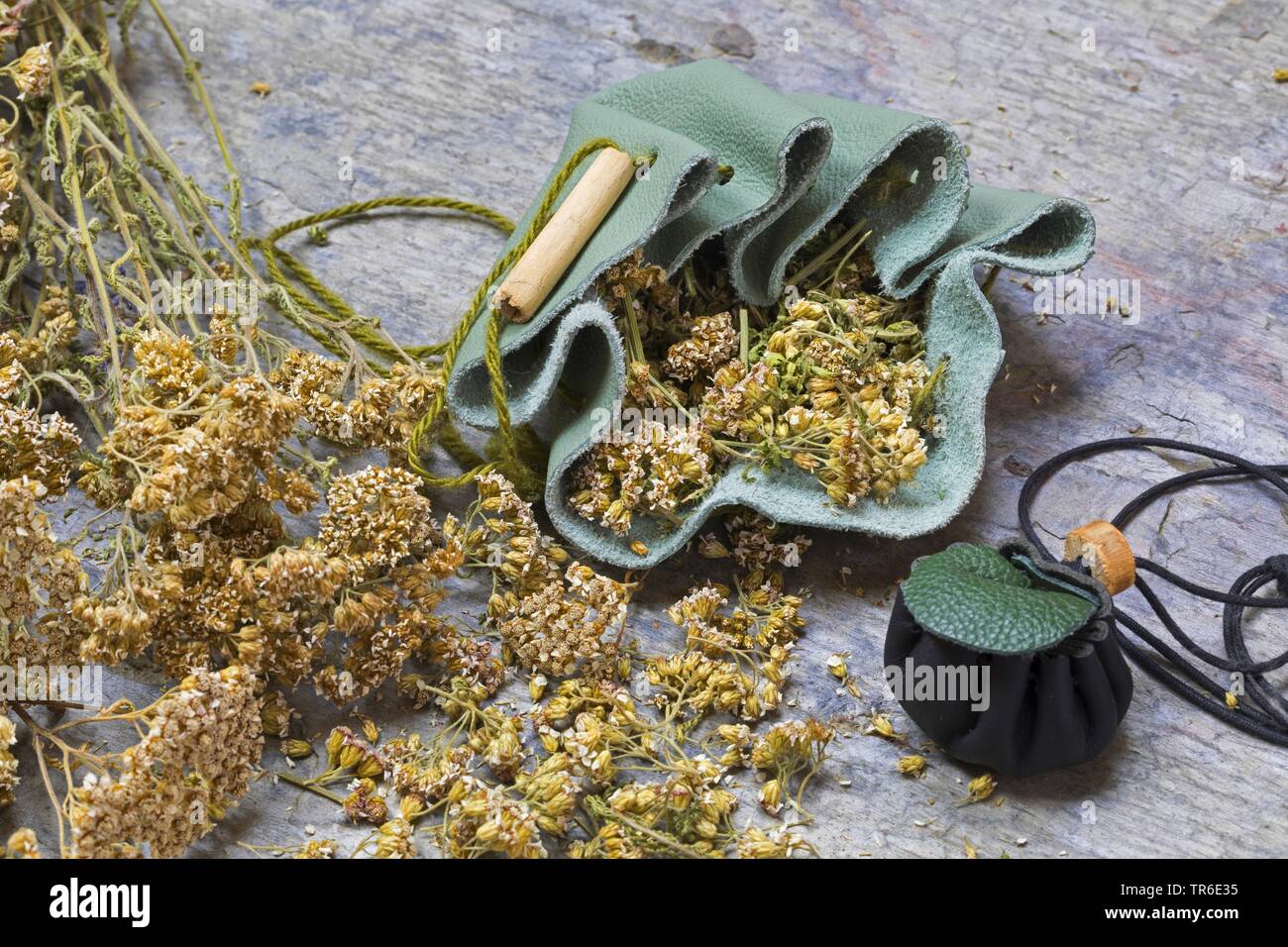 Schafgarbe, gemeinsame Schafgarbe (Achillea millefolium), selbstgemacht Medizin Beutel, Deutschland Stockfoto