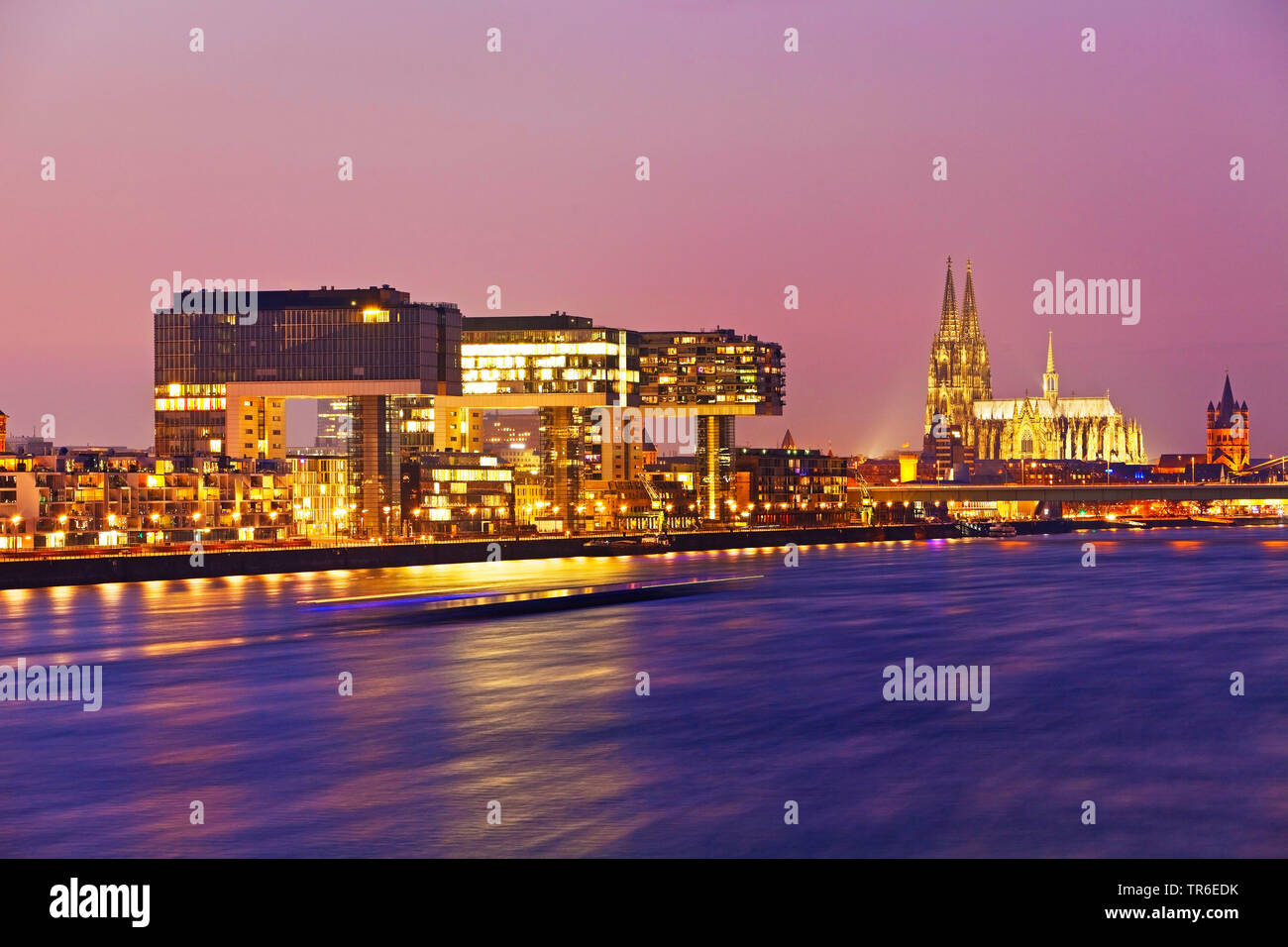 Riverbank Kranhaeuser auf dem Rhein und den Kölner Dom in den Abend, Deutschland, Nordrhein-Westfalen, Rheinland, Köln Stockfoto
