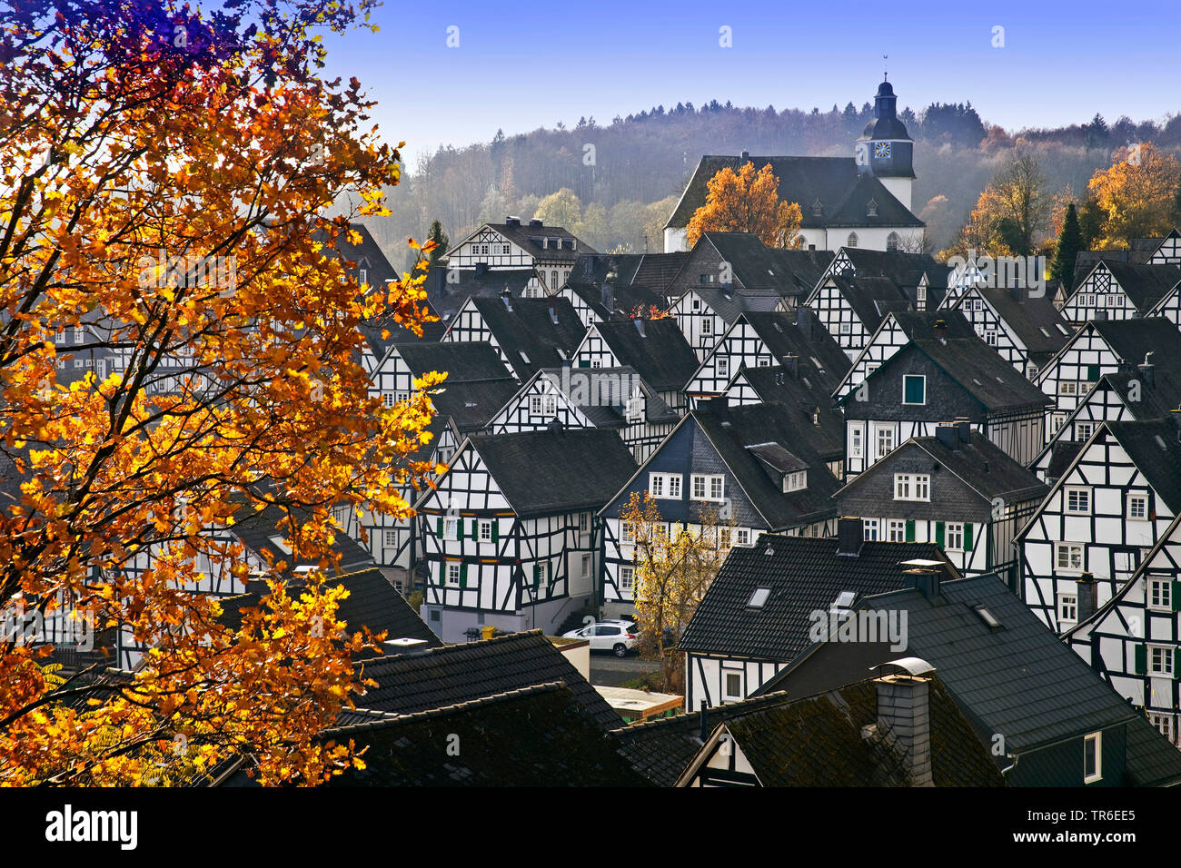 Historische Altstadt von Freudenberg im Herbst, Deutschland, Nordrhein-Westfalen, Siegerland, Freudenberg Stockfoto