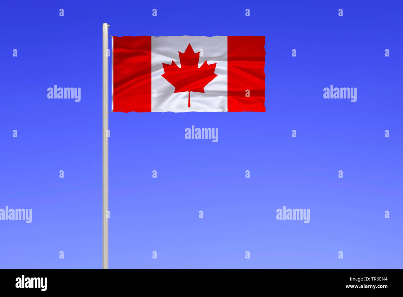 Flagge von Kanada gegen den blauen Himmel, Kanada Stockfoto