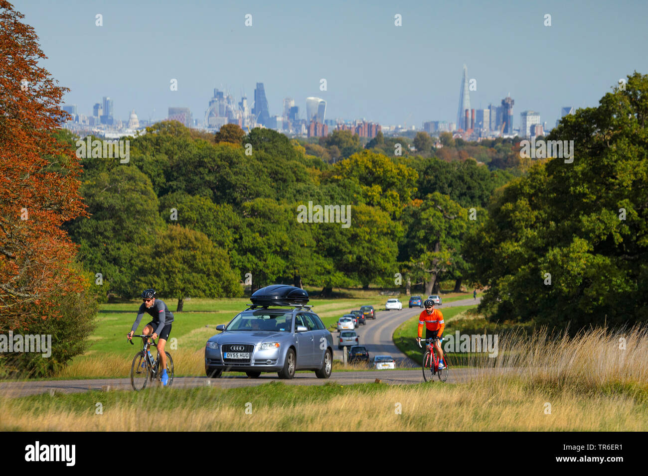 Linie der Autos im Richmond Park, Vereinigtes Königreich, England, London Stockfoto