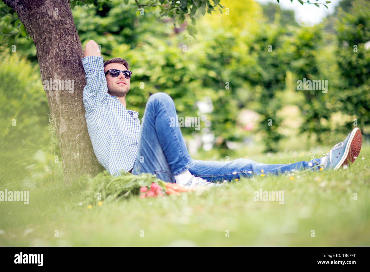 Mit frischem Gemüse auf dem Rasen im Garten liegen, lehnte sich gegen einen Baumstamm, Deutschland Stockfoto