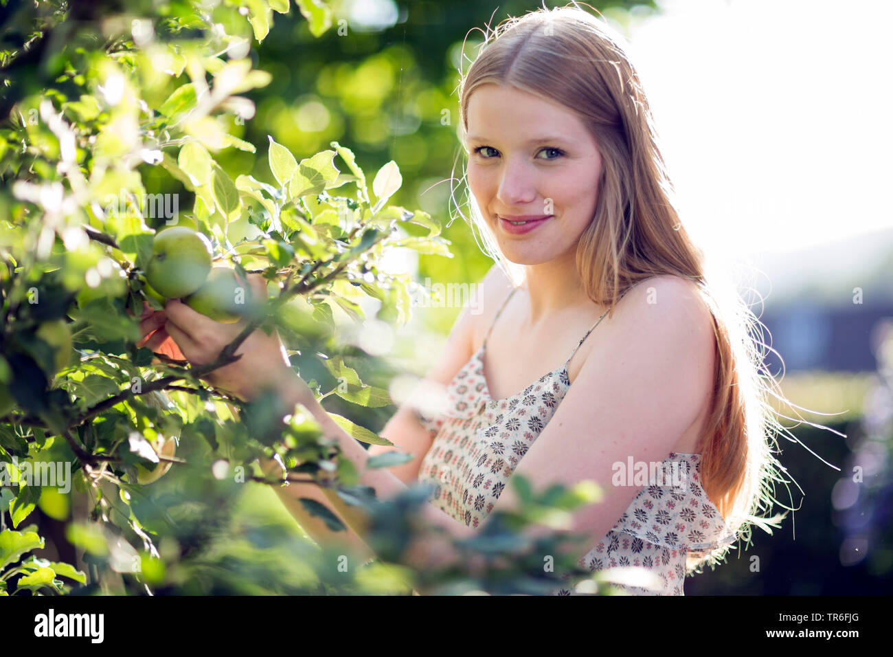Junge Frau Kommissionierung ein grüner Apfel, Deutschland Stockfoto
