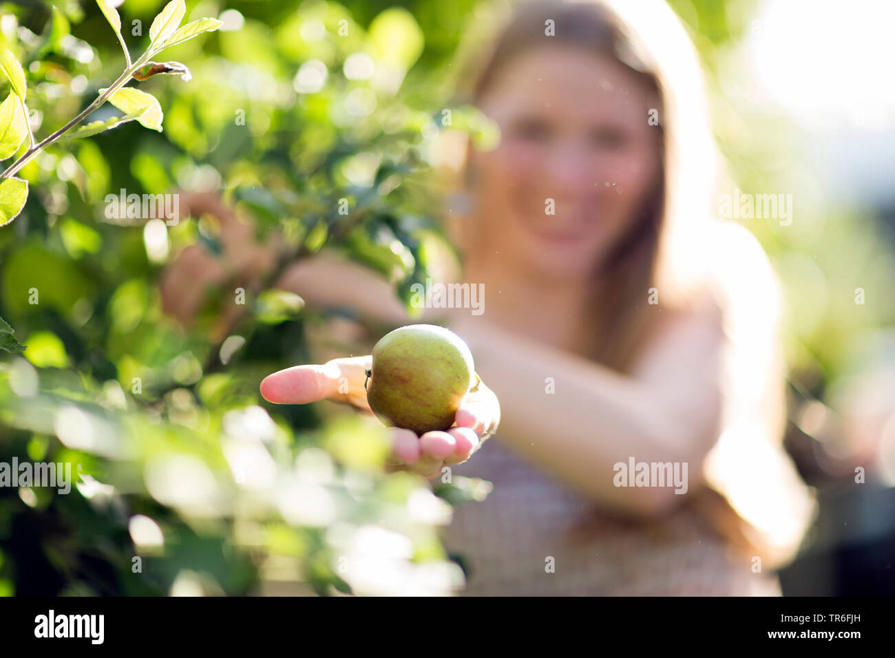 Junge Frau hat einen grünen Apfel gepflückt, Deutschland Stockfoto
