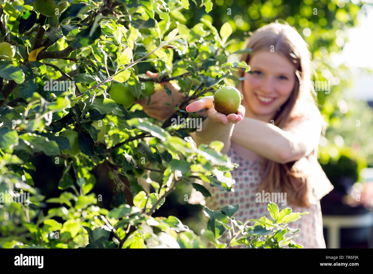 Junge Frau hat einen grünen Apfel gepflückt, Deutschland Stockfoto