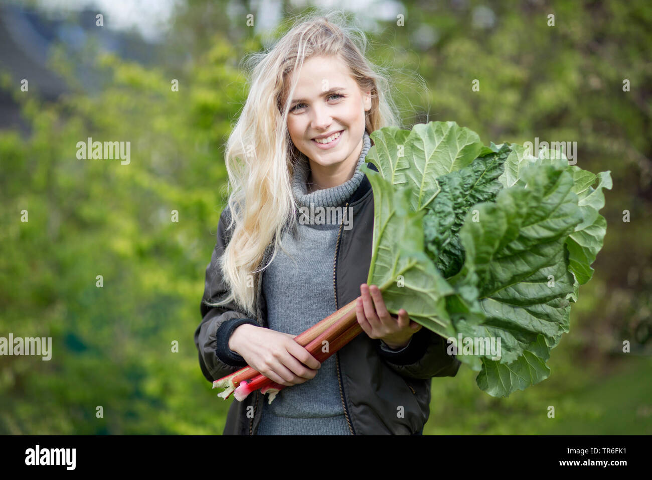 Rhabarber (Rheum rhabarbarum), junge blonde Frau mit frisch gepflückt Rhabarber, Deutschland Stockfoto