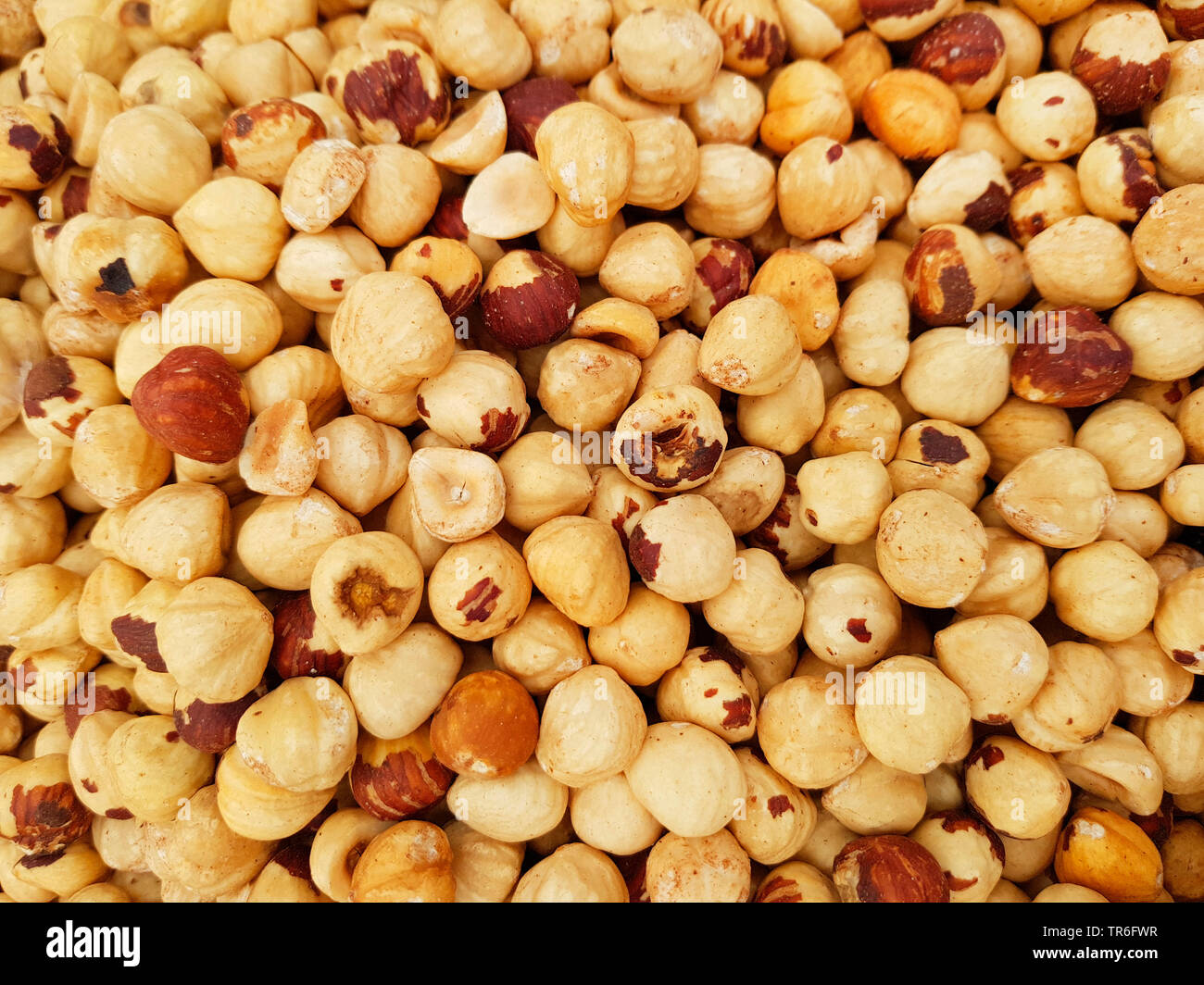 Bush garbanzo Bean, Kichererbse (Cicer arietinum), Kichererbsen auf einem Markt stand, Spanien, Balearen, Mallorca Stockfoto