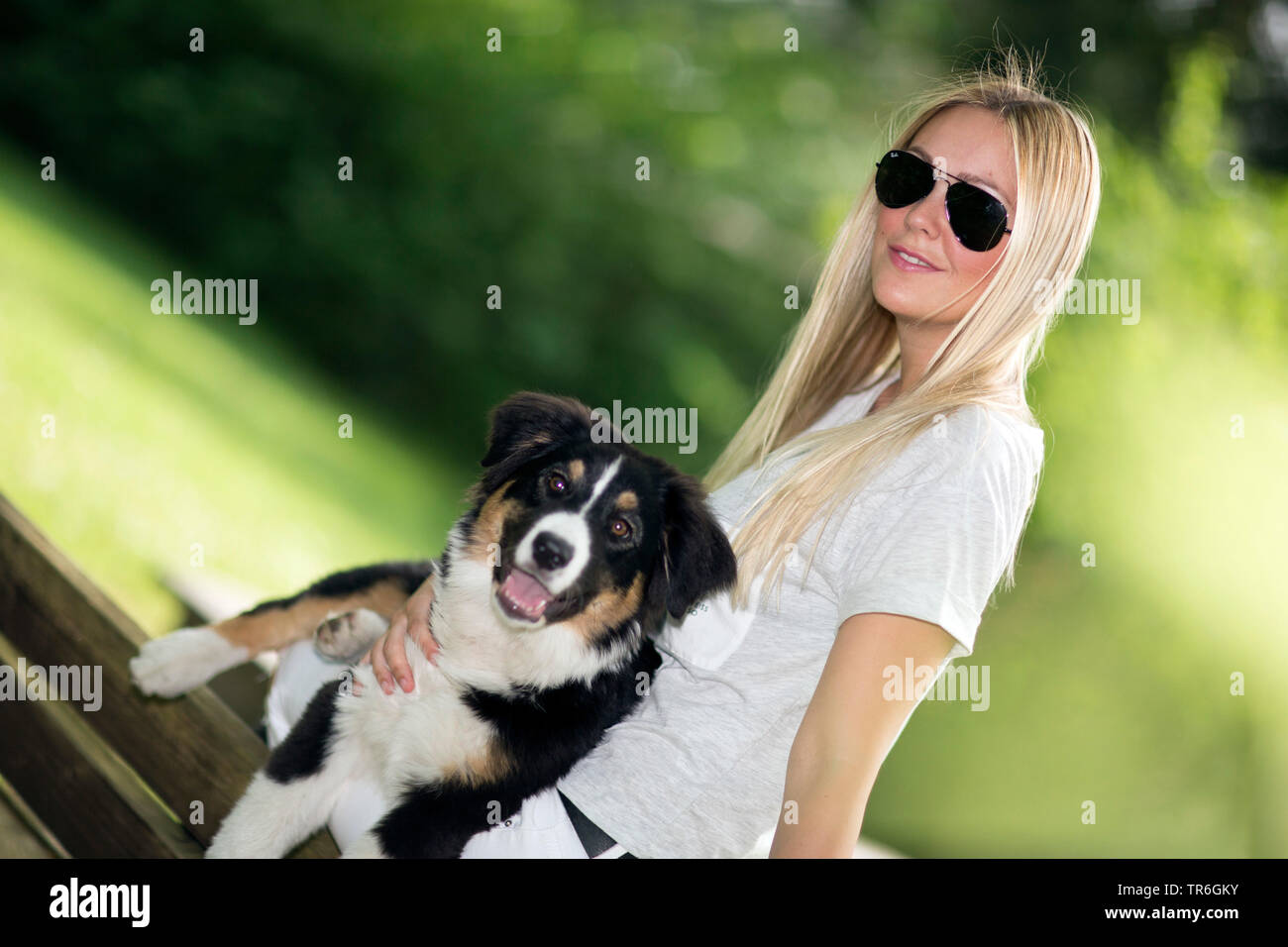 Australian Shepherd (Canis lupus f. familiaris), blonde Frau mit ein Welpe auf dem Schoß, Deutschland Stockfoto