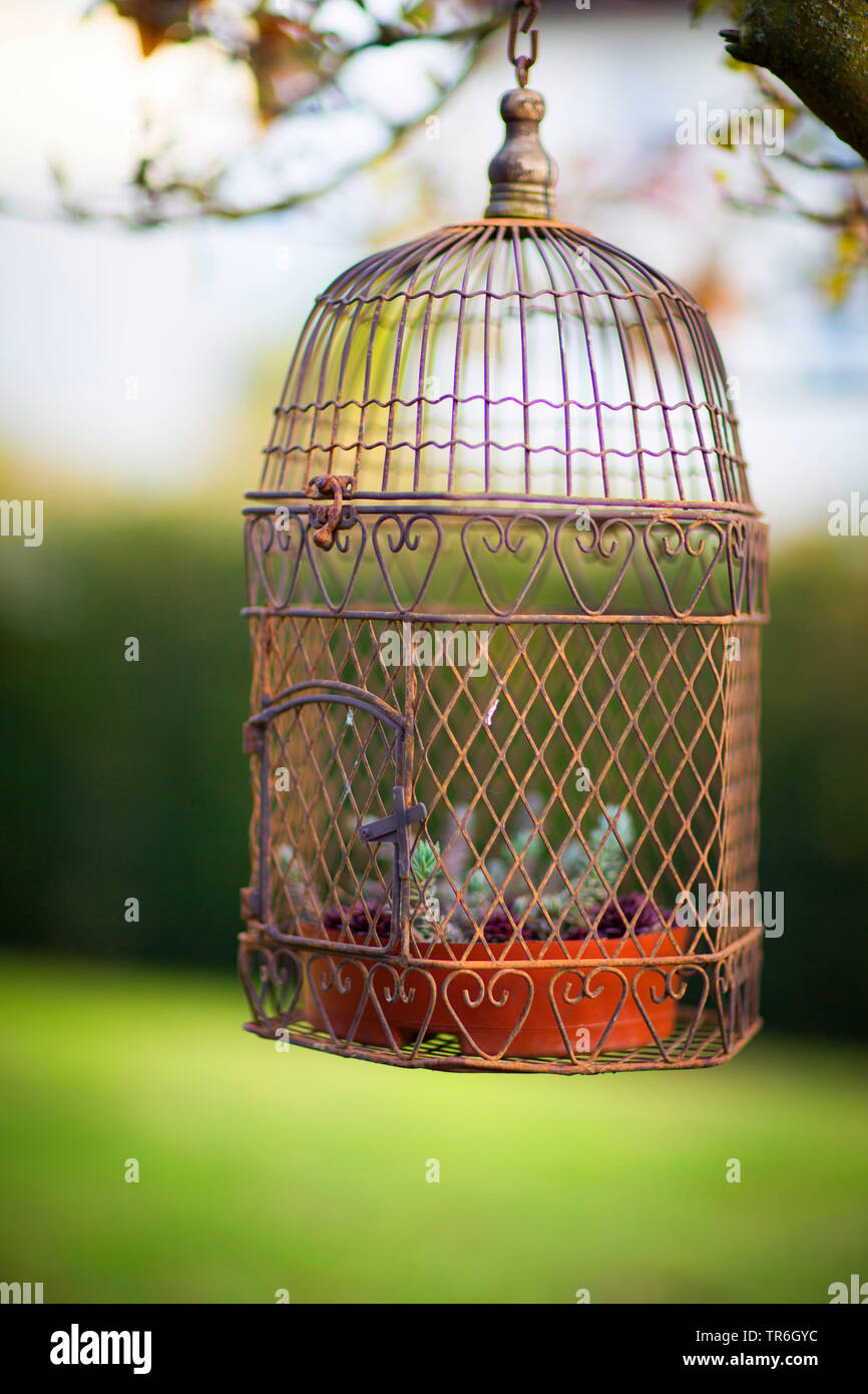 Bird Cage in einem Garten als Dekoration, Deutschland Stockfoto