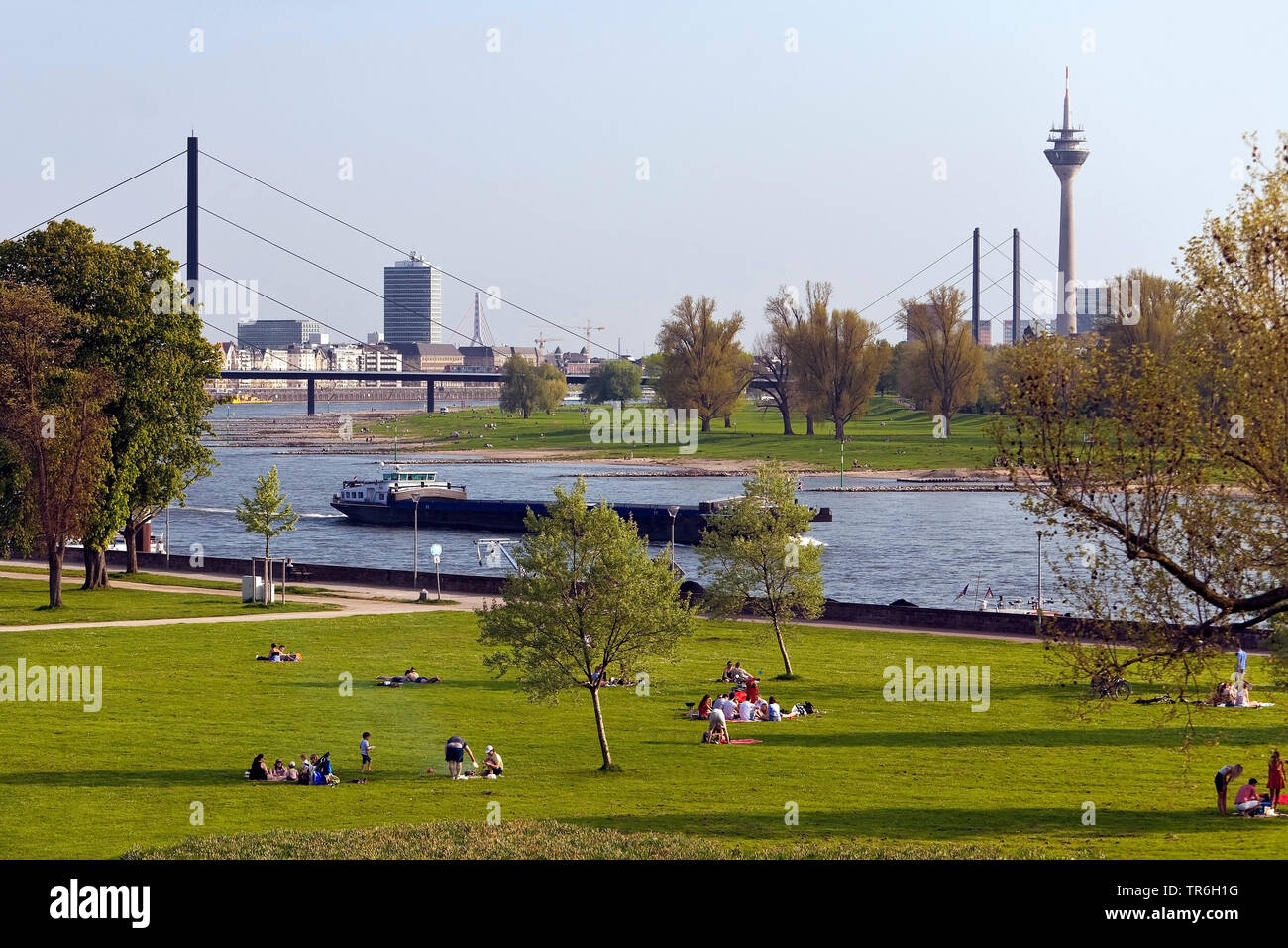 Blick vom Rheinpark von Golzheim auf Schiffe auf dem Rhein und der Stadt Düsseldorf, Deutschland, Nordrhein-Westfalen, Niederrhein, Düsseldorf Stockfoto