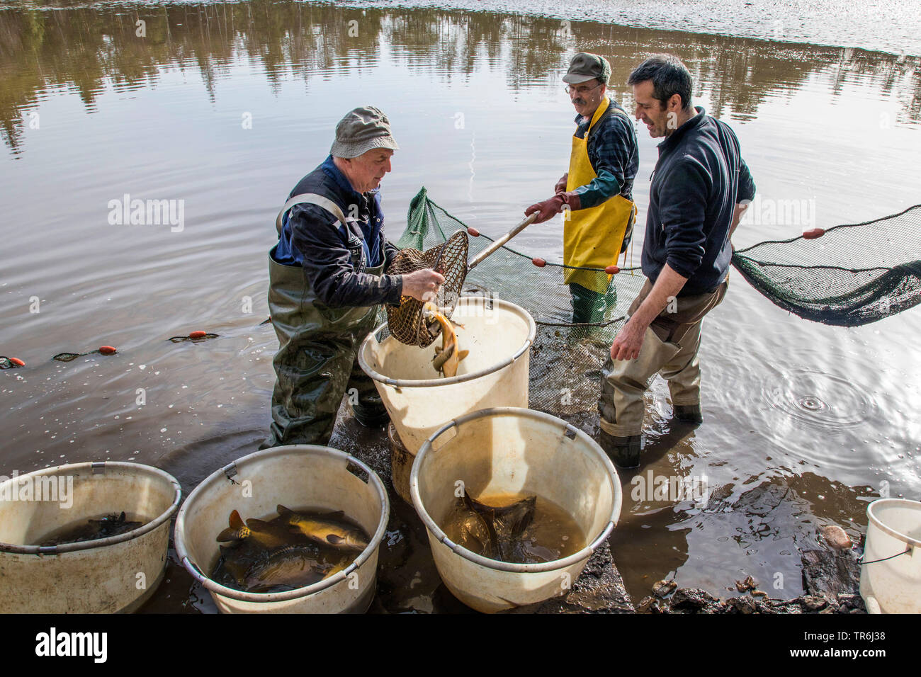 Fischer im teich Fotos und Bildmaterial in hoher Auflösung Alamy