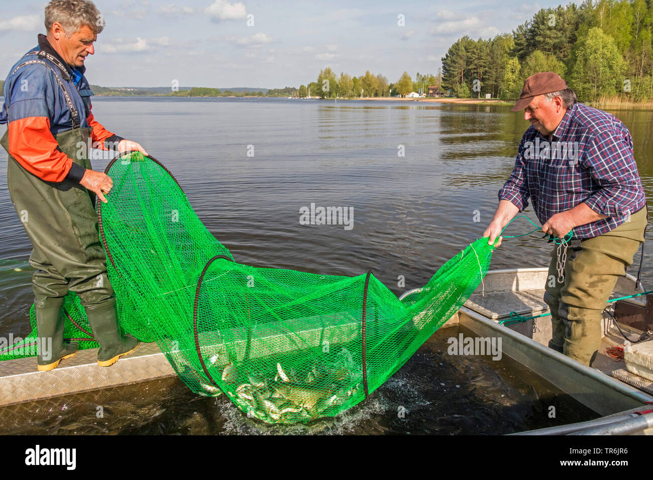 Bug net Angeln im See, Deutschland, Bayern, Brombachspeichersee Stockfoto