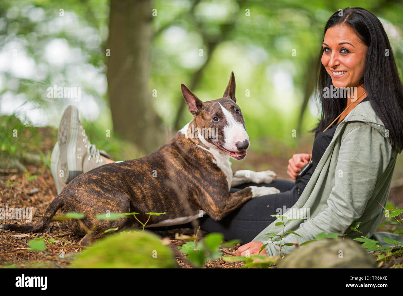Bull Terrier (Canis lupus f. familiaris), Frau sitzt mit ihrem Hund im Wald, Deutschland Stockfoto