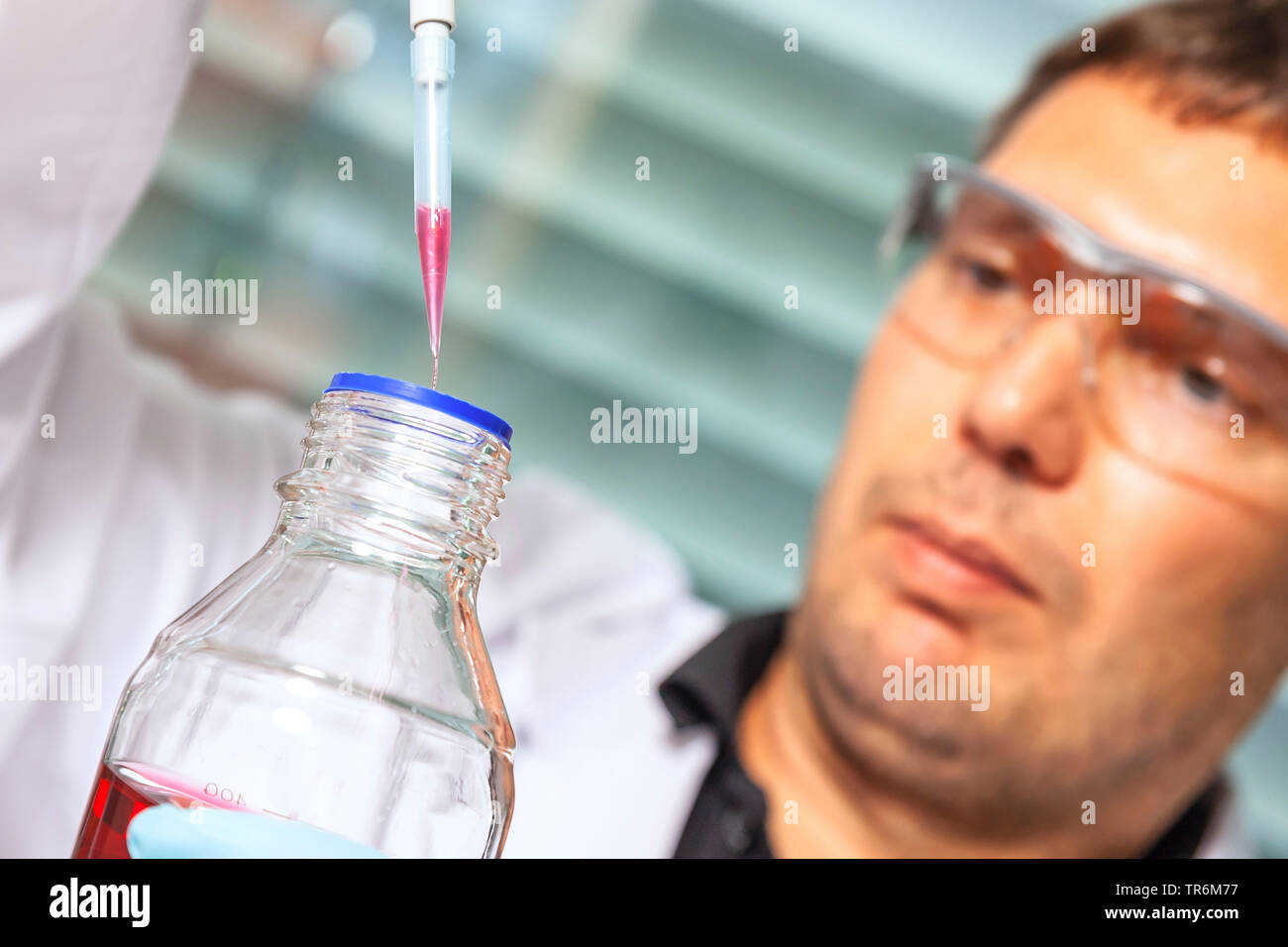 Chemielaborant bei der Arbeit, beim Befüllen eine blaue Flüssigkeit in einem Eppendorf tube, Deutschland Stockfoto