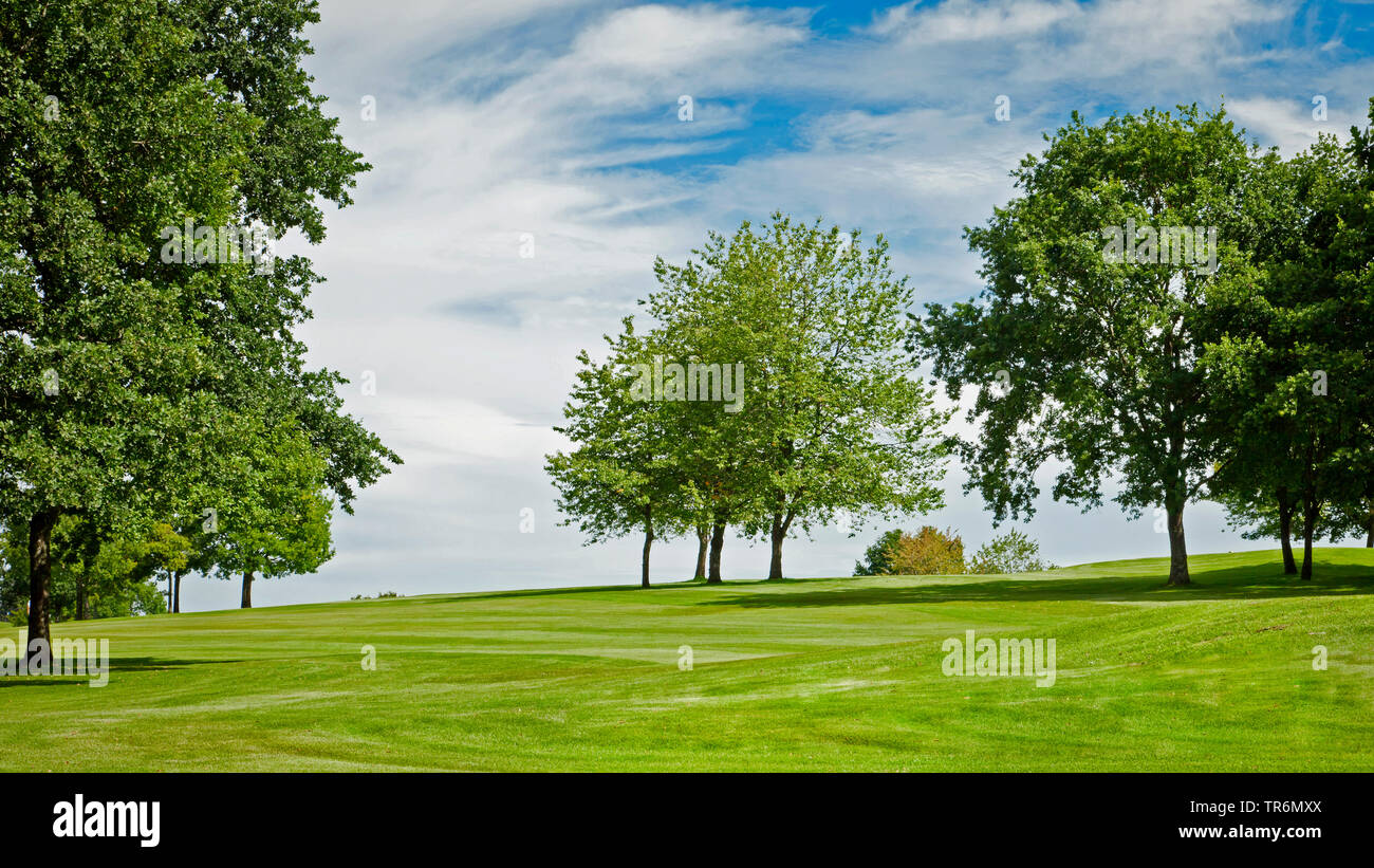 Golfplatz mit schönen Himmel, Deutschland Stockfoto