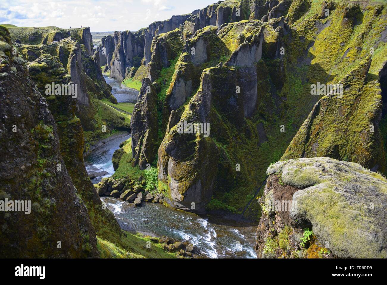 In der Schlucht des Flusses Fjadra Fjadrargljufur, Island Stockfoto