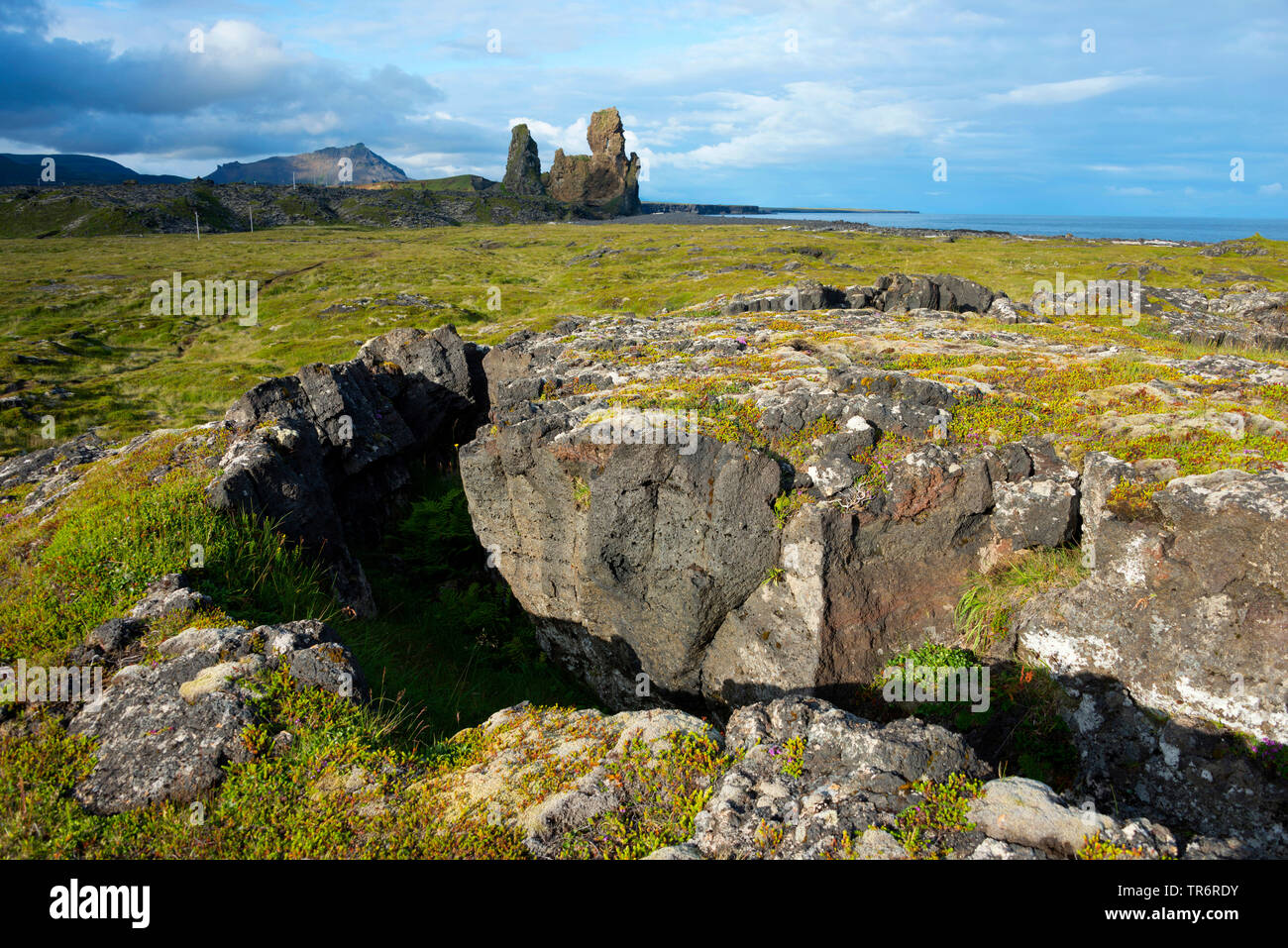 Basaltfelsen Londrangar bei Malarrif, Island, Snaefellsnes Stockfoto