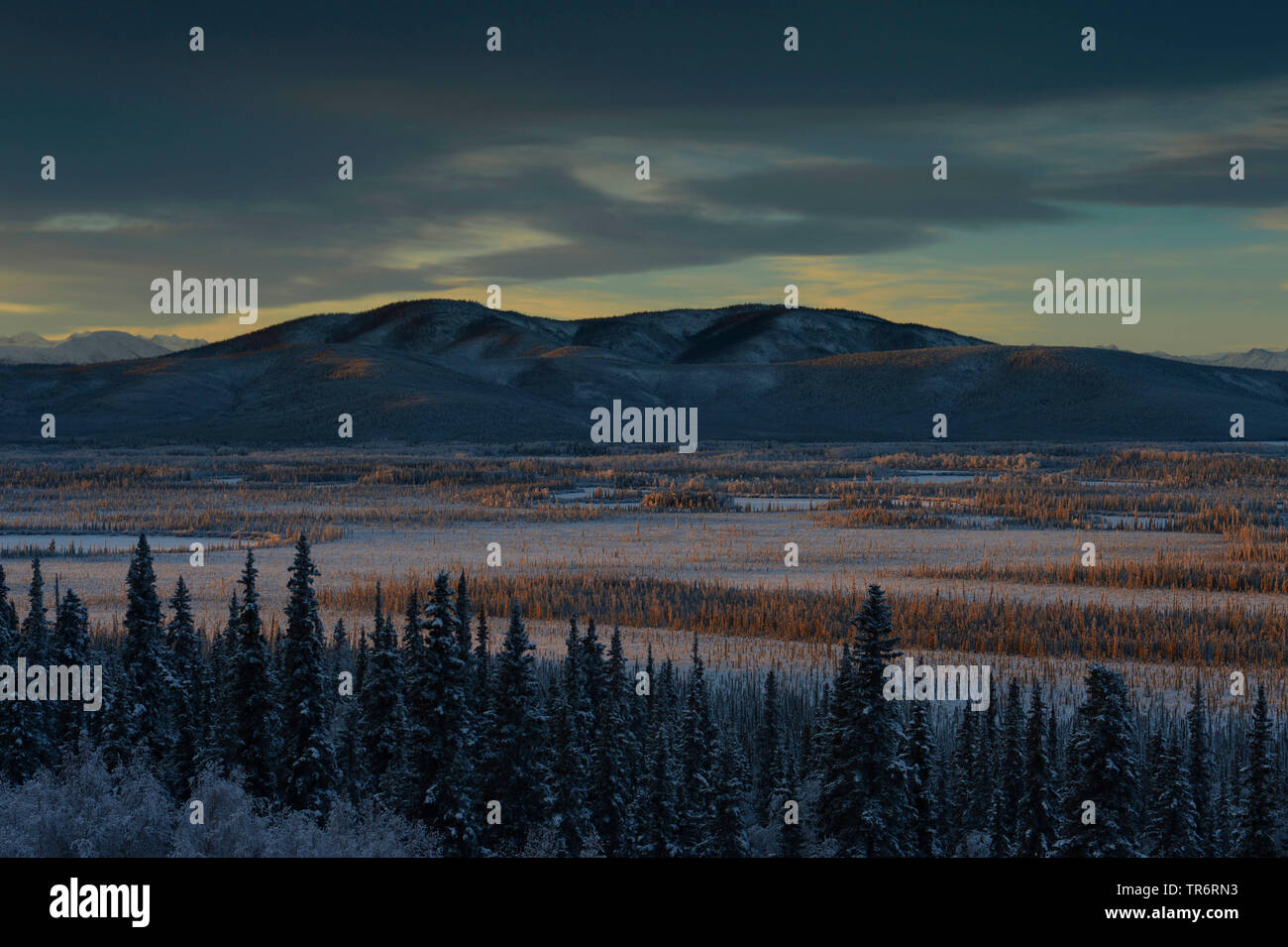 Winterlandschaft mit Gewitter Wolken bei Sonnenuntergang, USA, Alaska, haines Alaska Chilkoot Fluss Stockfoto