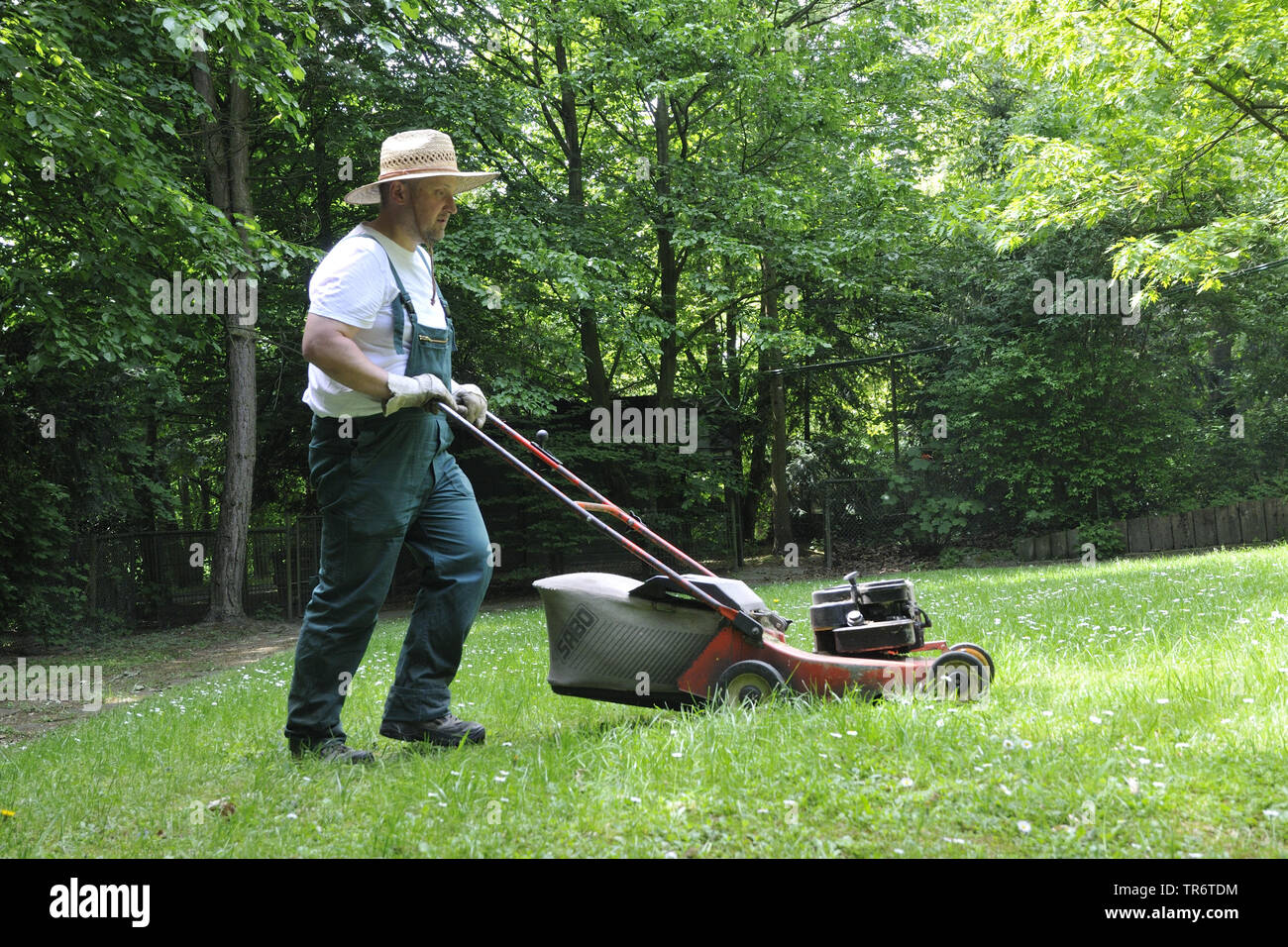 Gärtner, der den Rasen zu mähen, Deutschland, Nordrhein-Westfalen Stockfoto