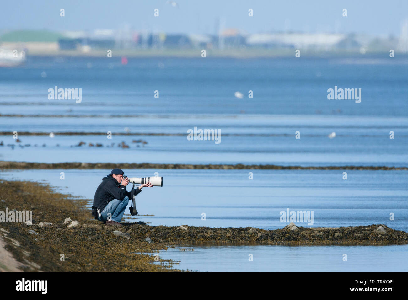 Fotograf mit Zoomobjektiv sitzen an der Wasserseite, Niederlande, Friesland, Vlieland Stockfoto