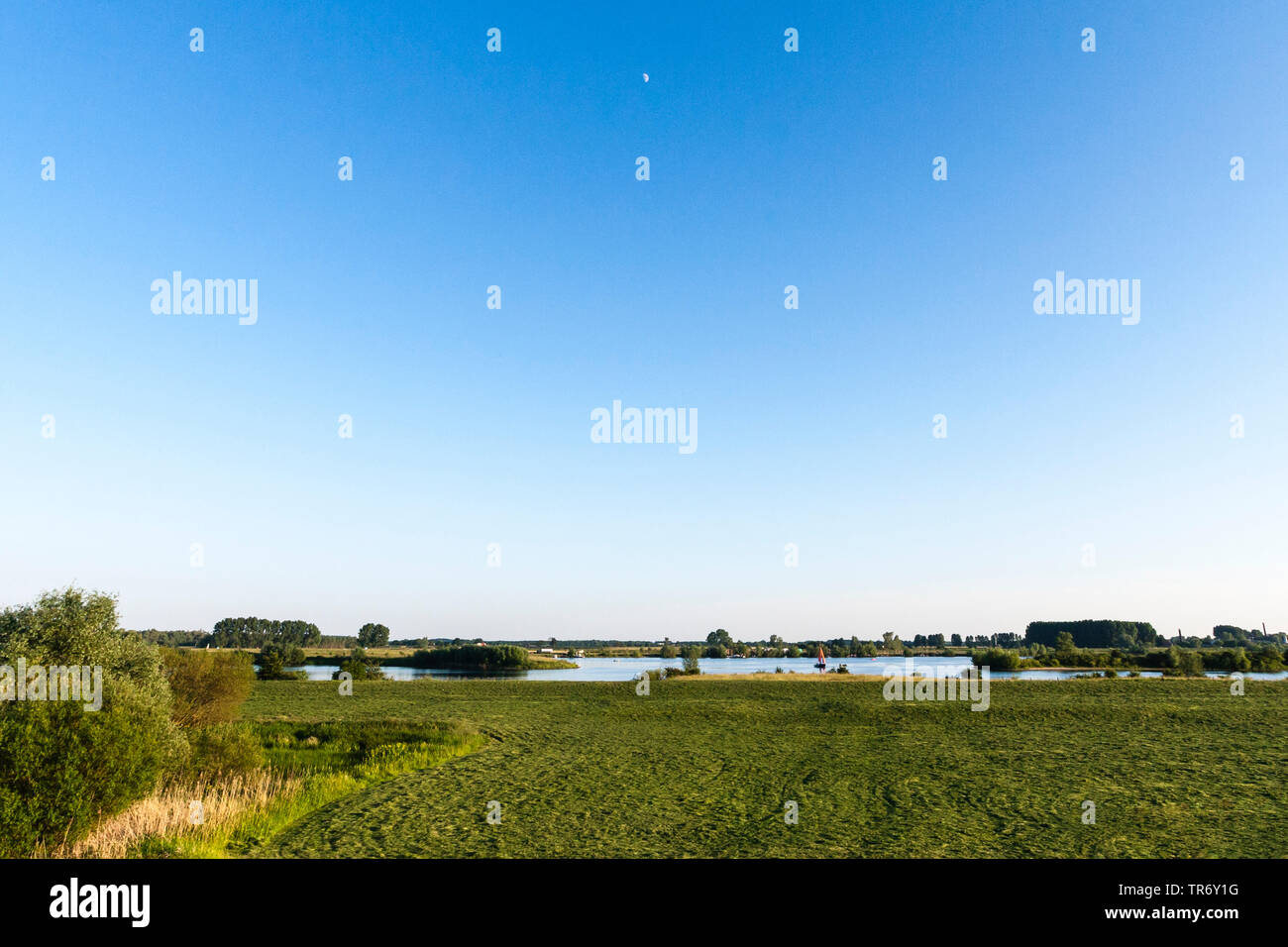 Auen der Nederrijn River im Frühjahr, Niederlande, Utrecht, amerongse Berg, Amerongen Stockfoto