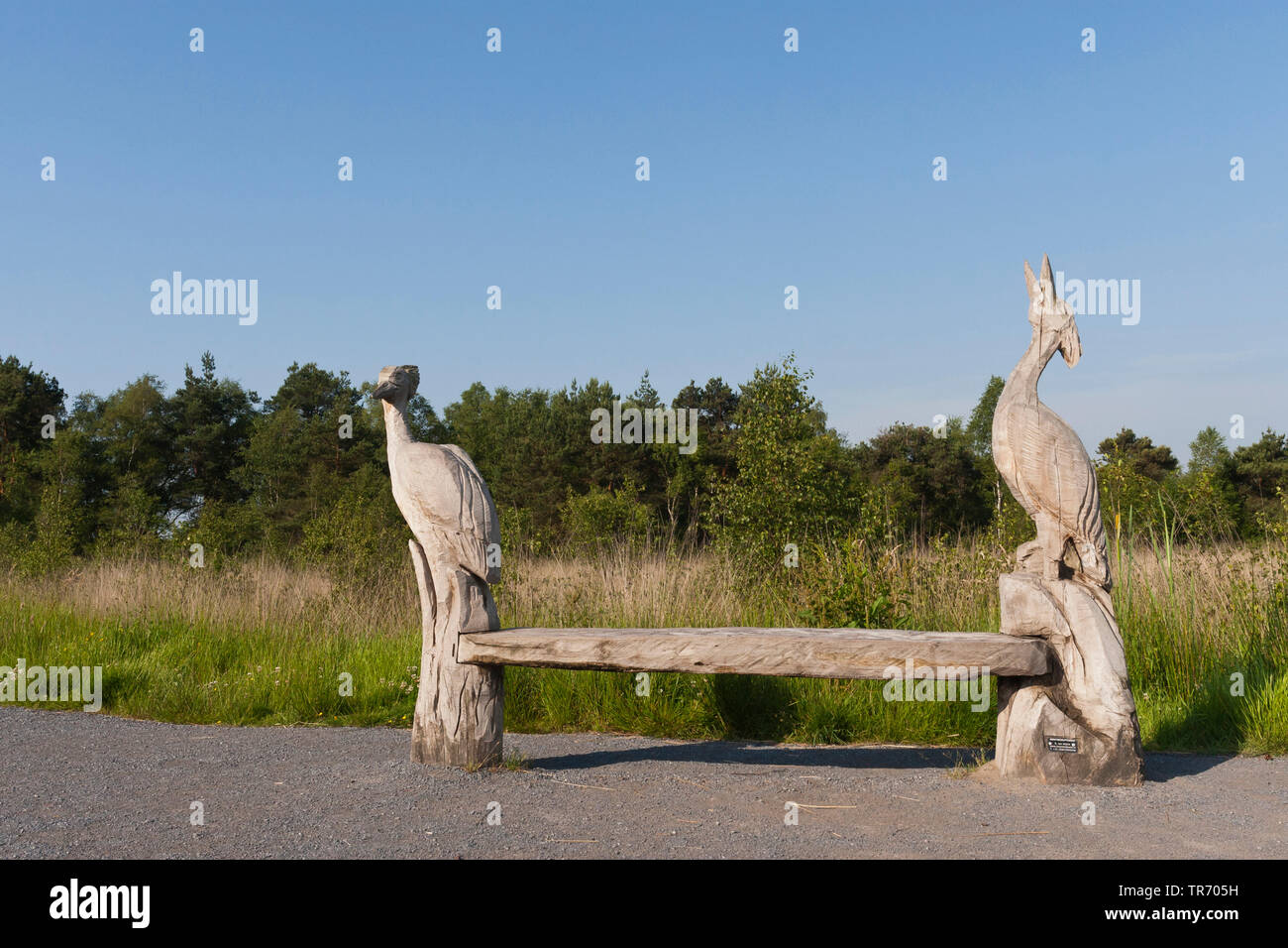 Sitzbank mit Skulpturen aus Holz im Nationalpark De Groote Peel, Niederlande, Nordbrabant, Groote Peel Nationalpark Stockfoto