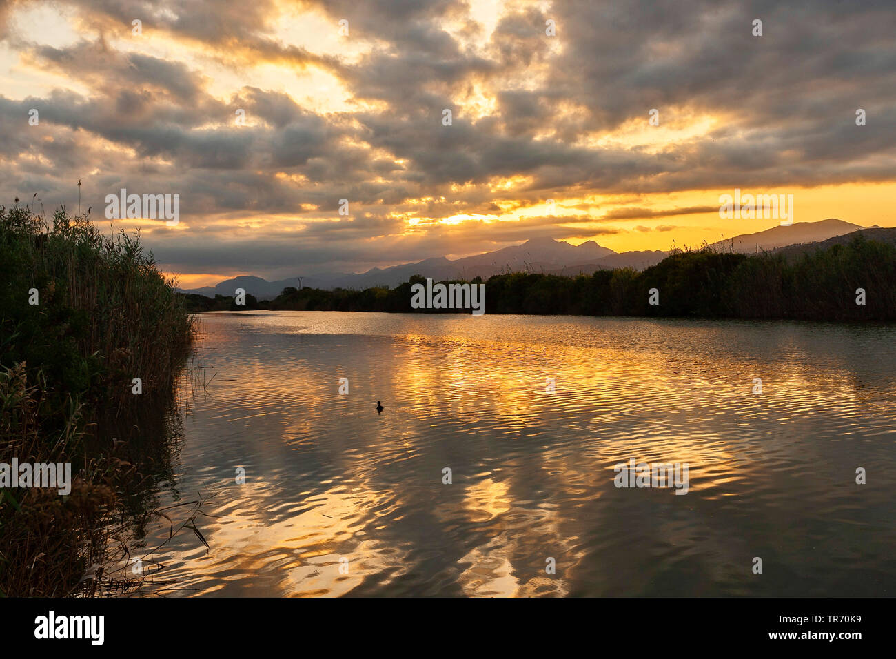 Feuchtgebiet in das Naturschutzgebiet S'Albufera bei Sonnenuntergang, Spanien, Balearen, Mallorca, Albufera Nationalpark Stockfoto