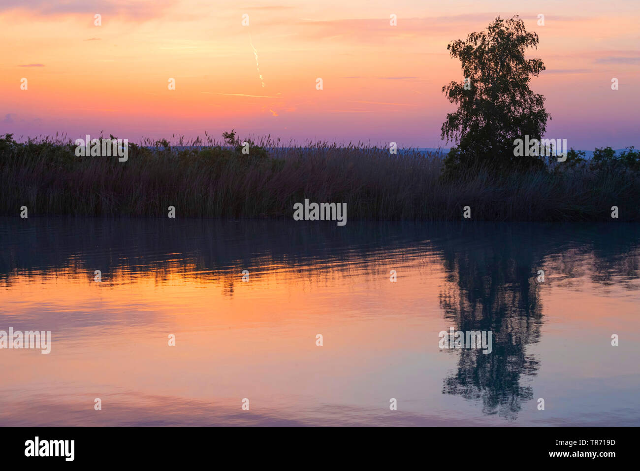 Sonnenuntergang am See, Österreich, Burgenland, Neusiedler See National Park Stockfoto