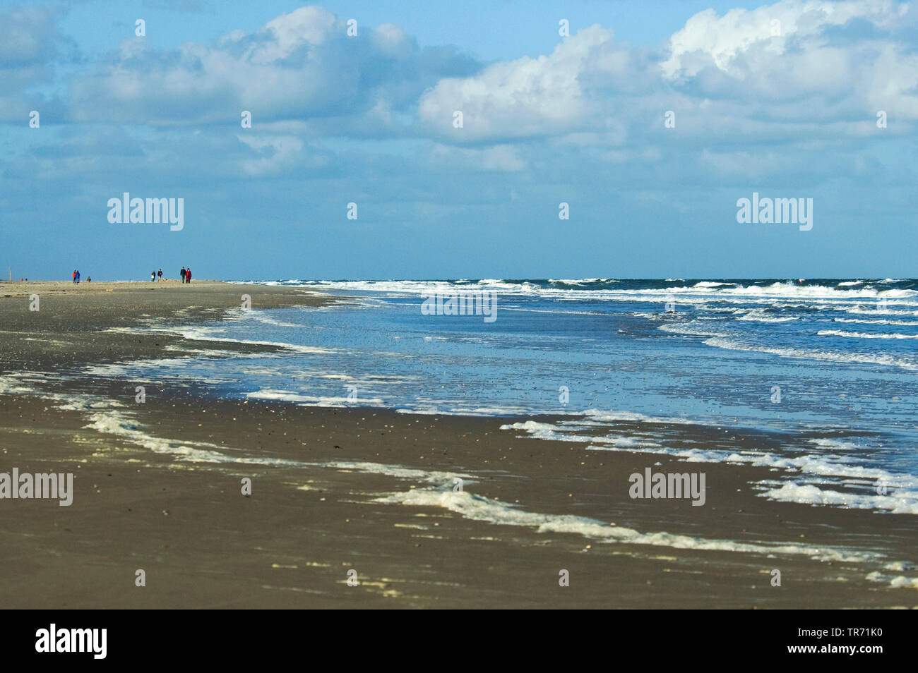 Strand auf Vlieland, Niederlande, Vlieland Stockfoto