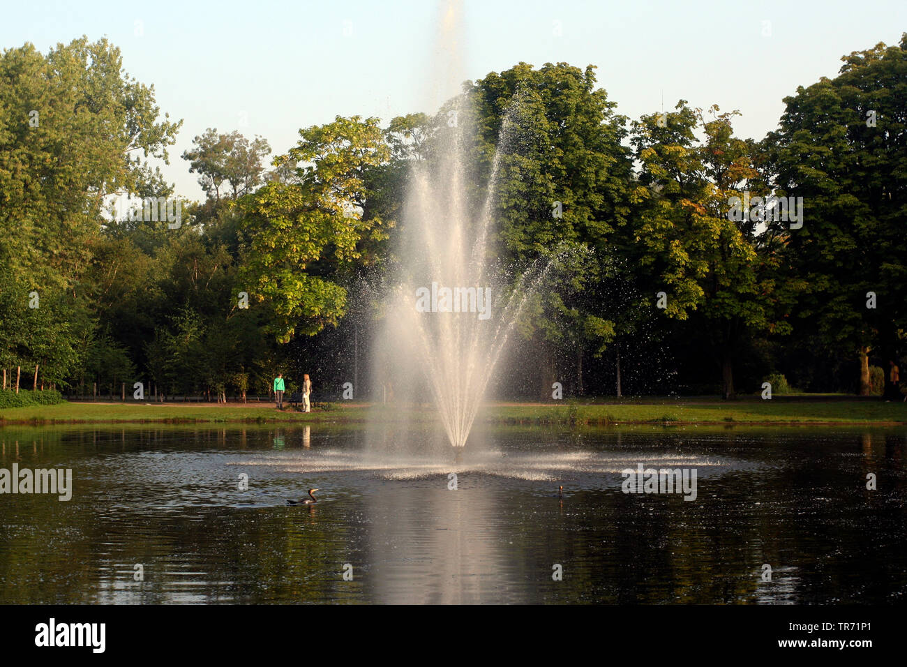 Brunnen im Vondelpark Amsterdam, Niederlande Stockfoto