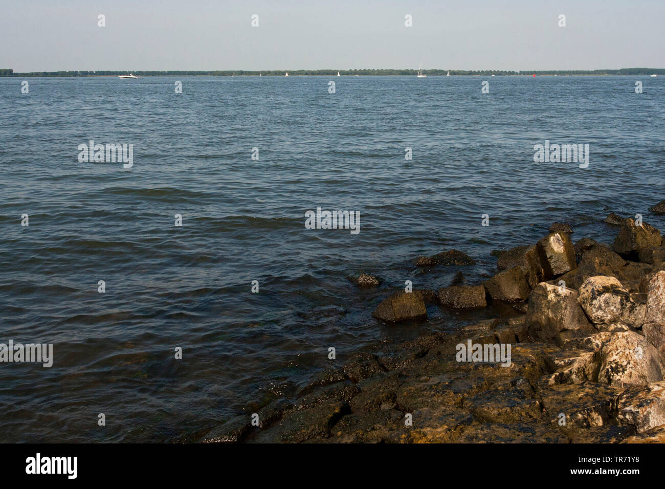 Hollands Diep, Niederlande, Südholland, Willemstad Stockfoto