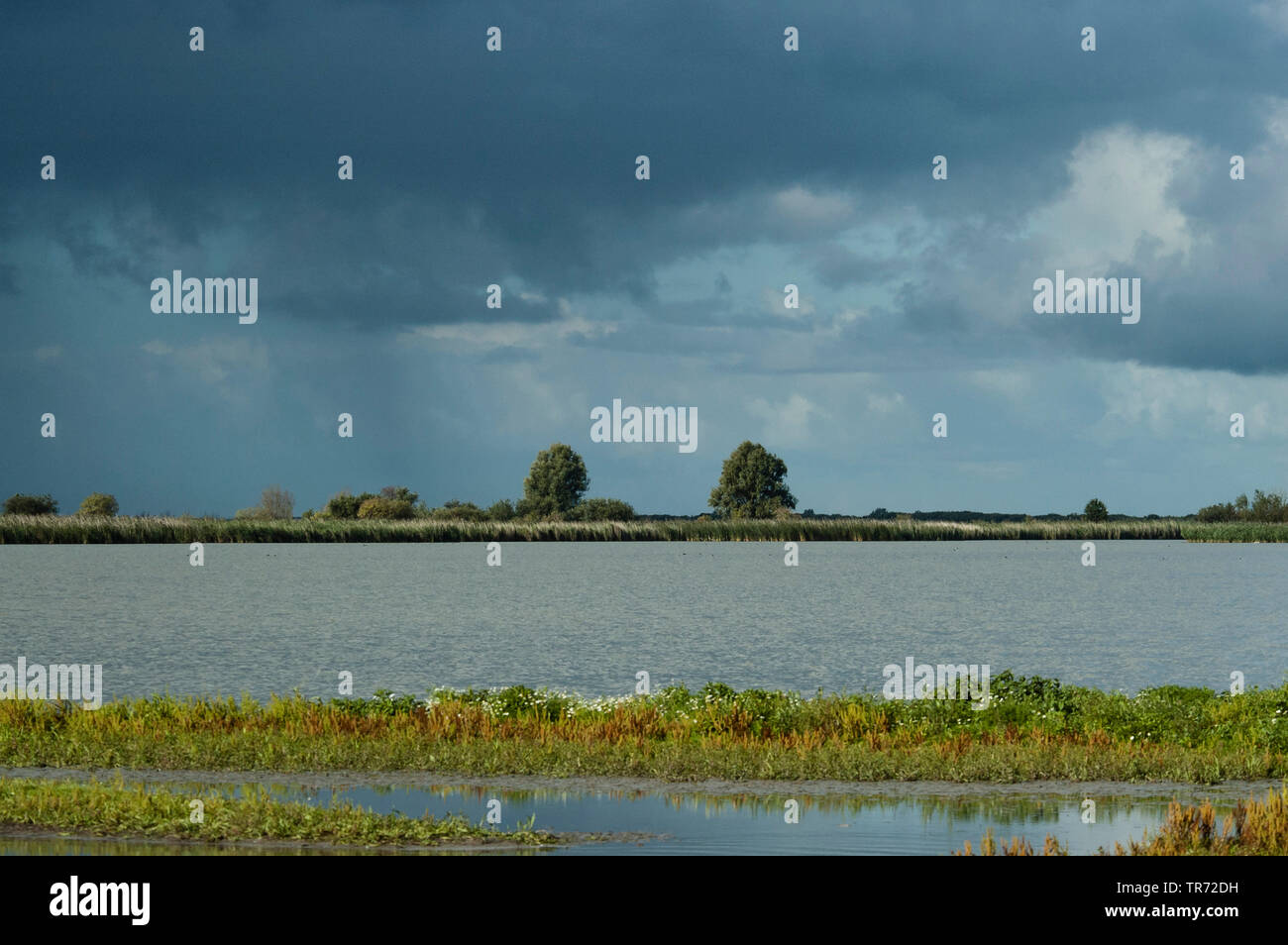 Dunkle bewölkter Himmel über den See, Niederlande, Flevoland, Oostvaardersplassen Stockfoto