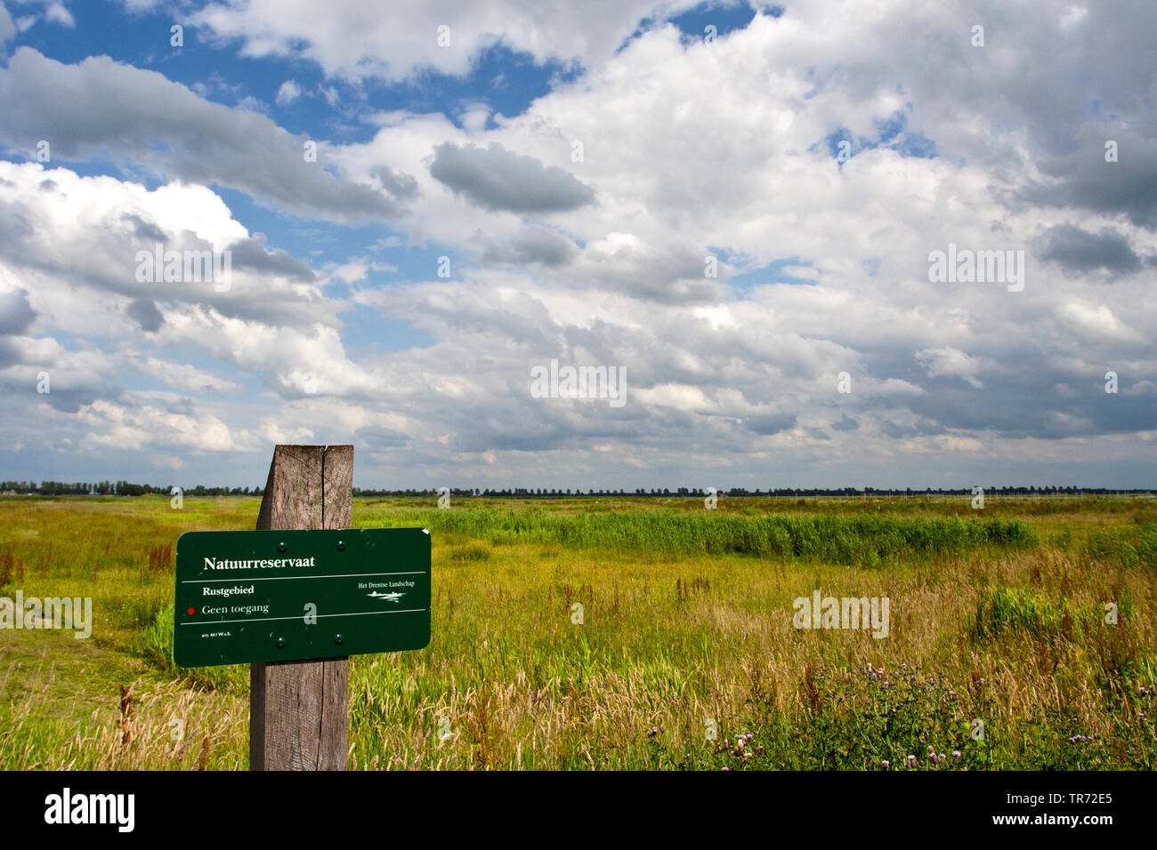 Naturschutzgebiet Veenkolonien, Steenbergen, Niederlande, Drenthe Stockfoto