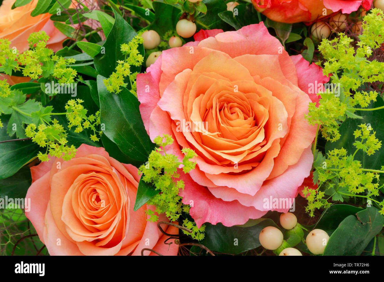 Blumenstrauß mit Rosen und ladys-Mantel Stockfoto