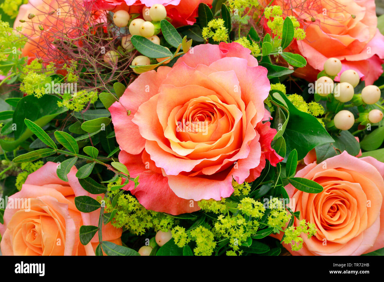 Blumenstrauß mit Rosen und ladys-Mantel Stockfoto