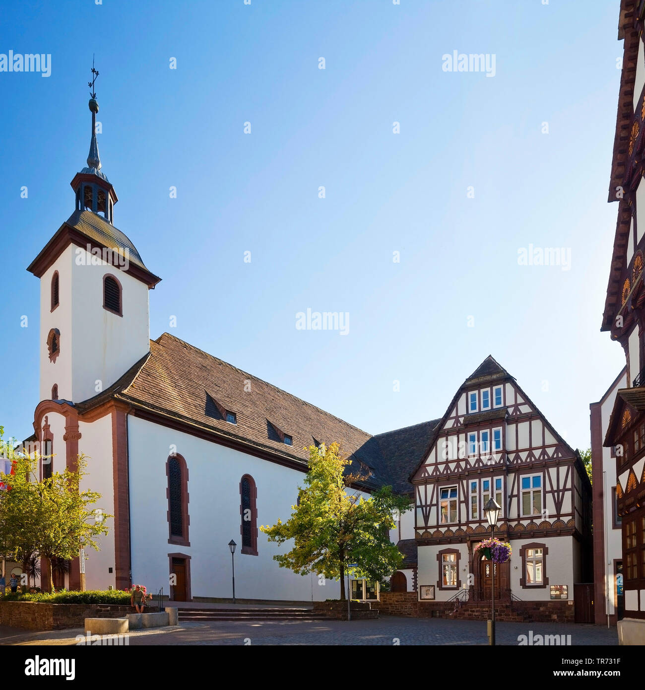 Kirche St. Nikolai in der alten Stadt, Deutschland, Nordrhein-Westfalen, Ostwestfalen, Höxter Stockfoto