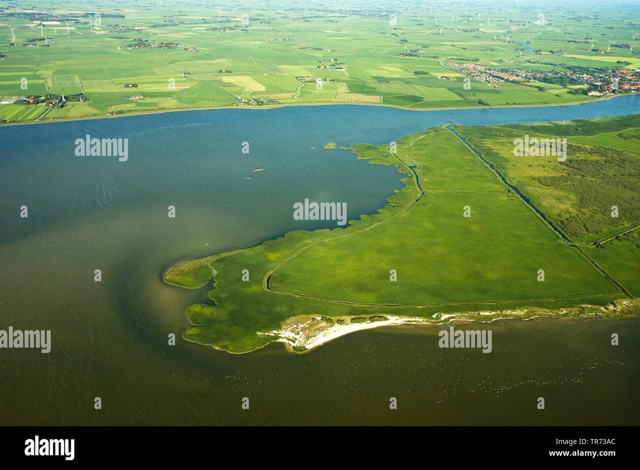 Luftbild von Makkumer Noordwaard, Niederlande, Friesland Stockfoto
