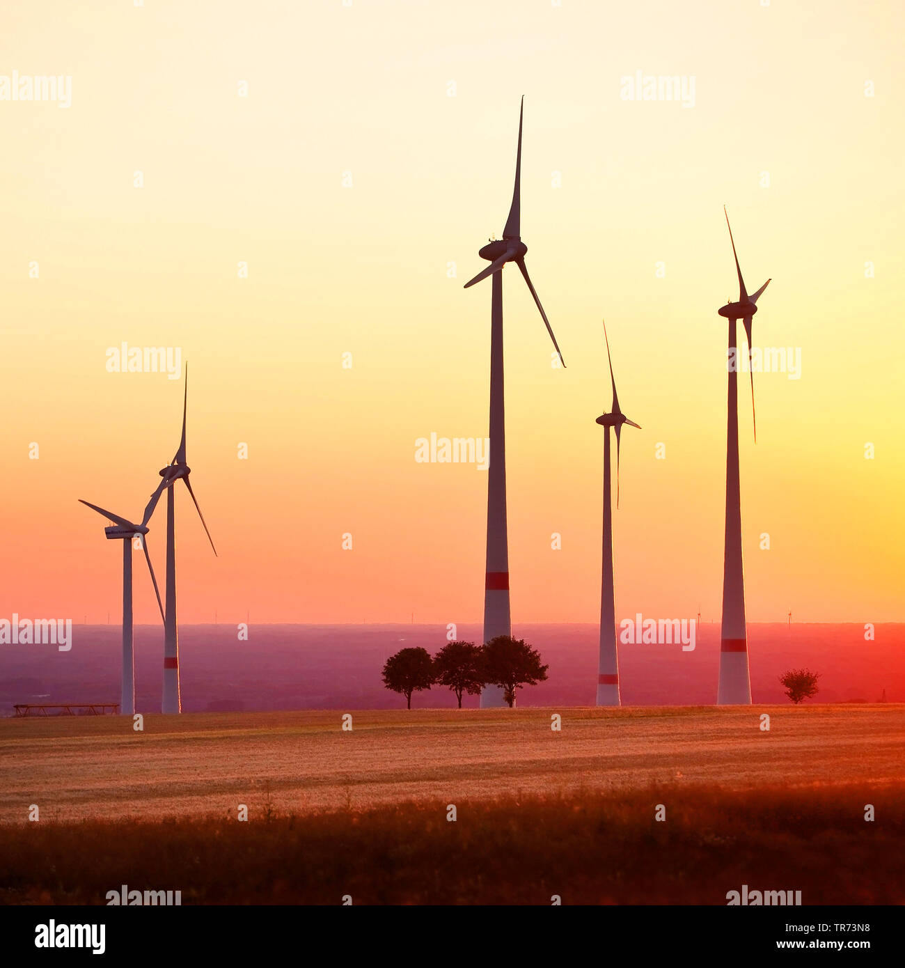 Windkraftanlagen bei Sonnenuntergang, Deutschland, Nordrhein-Westfalen, Ostwestfalen Stockfoto