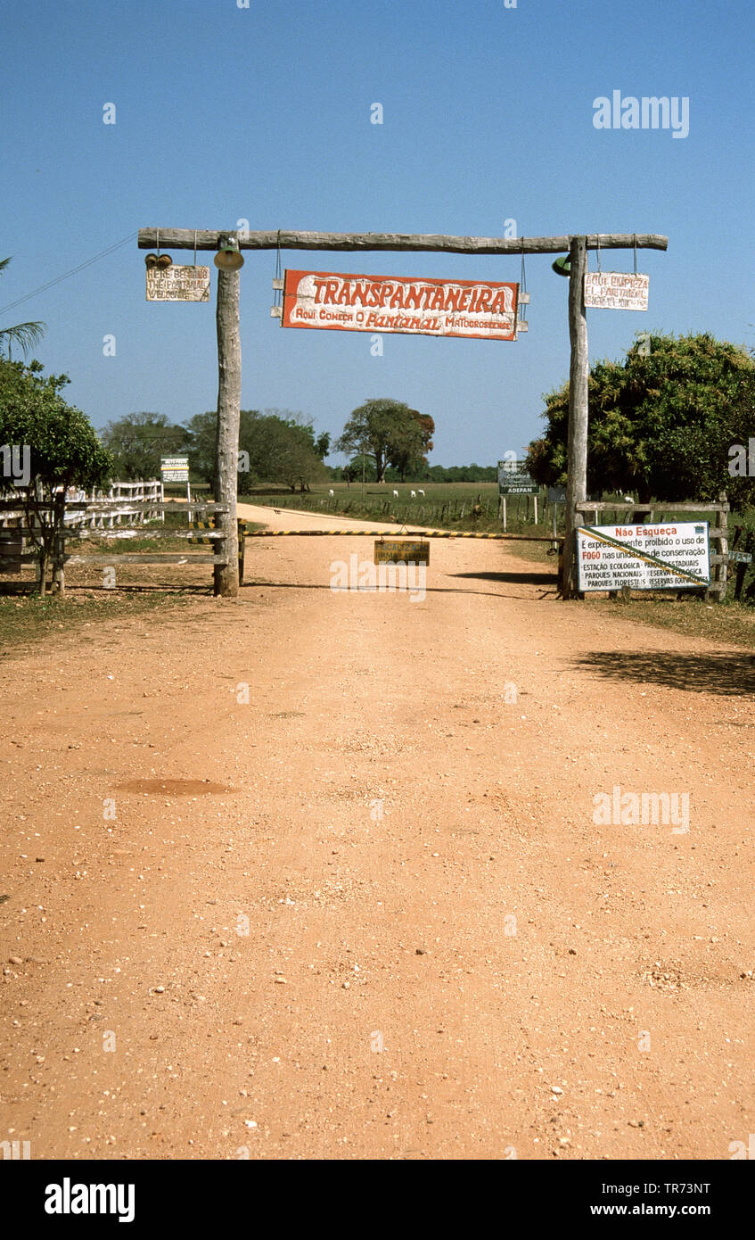 Transpantaneira, Pantanal, Brasilien, Pantanal Stockfoto