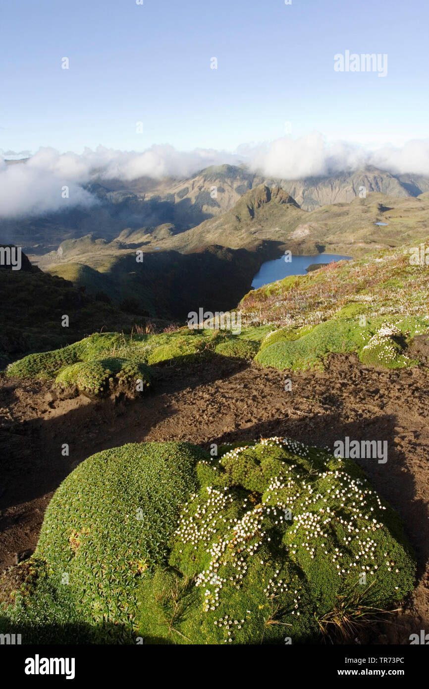 Papallacta Pass, Ecuador, Quito Stockfoto