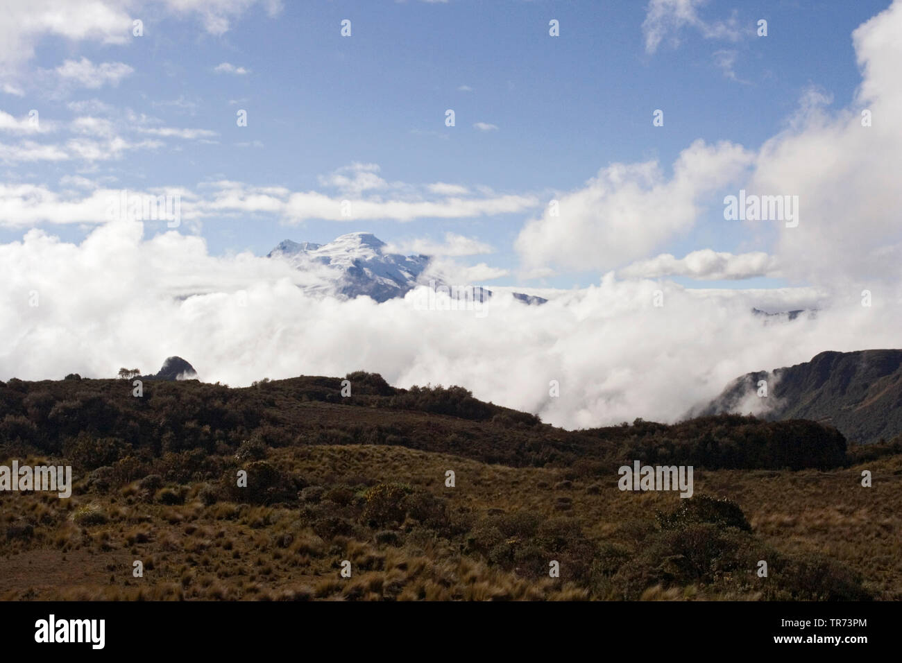 Papallacta Pass, Ecuador, Quito Stockfoto