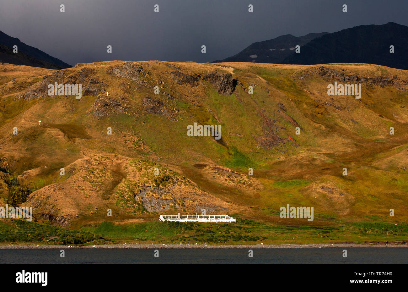 Shackletons Grab in Grytviken Grytviken, Suedgeorgien, Stockfoto