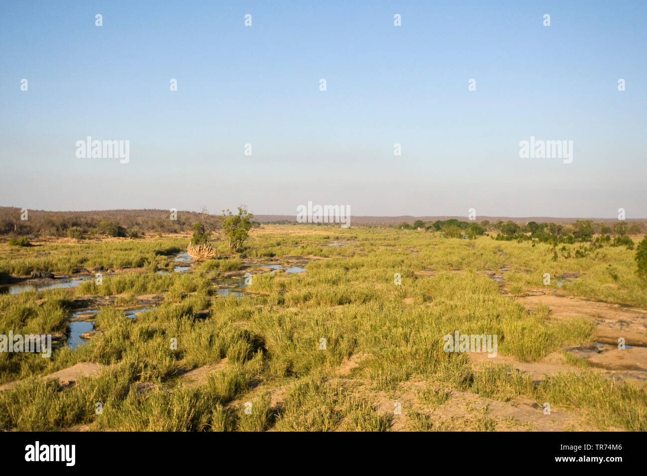 River, Südafrika, Krüger National Park Stockfoto