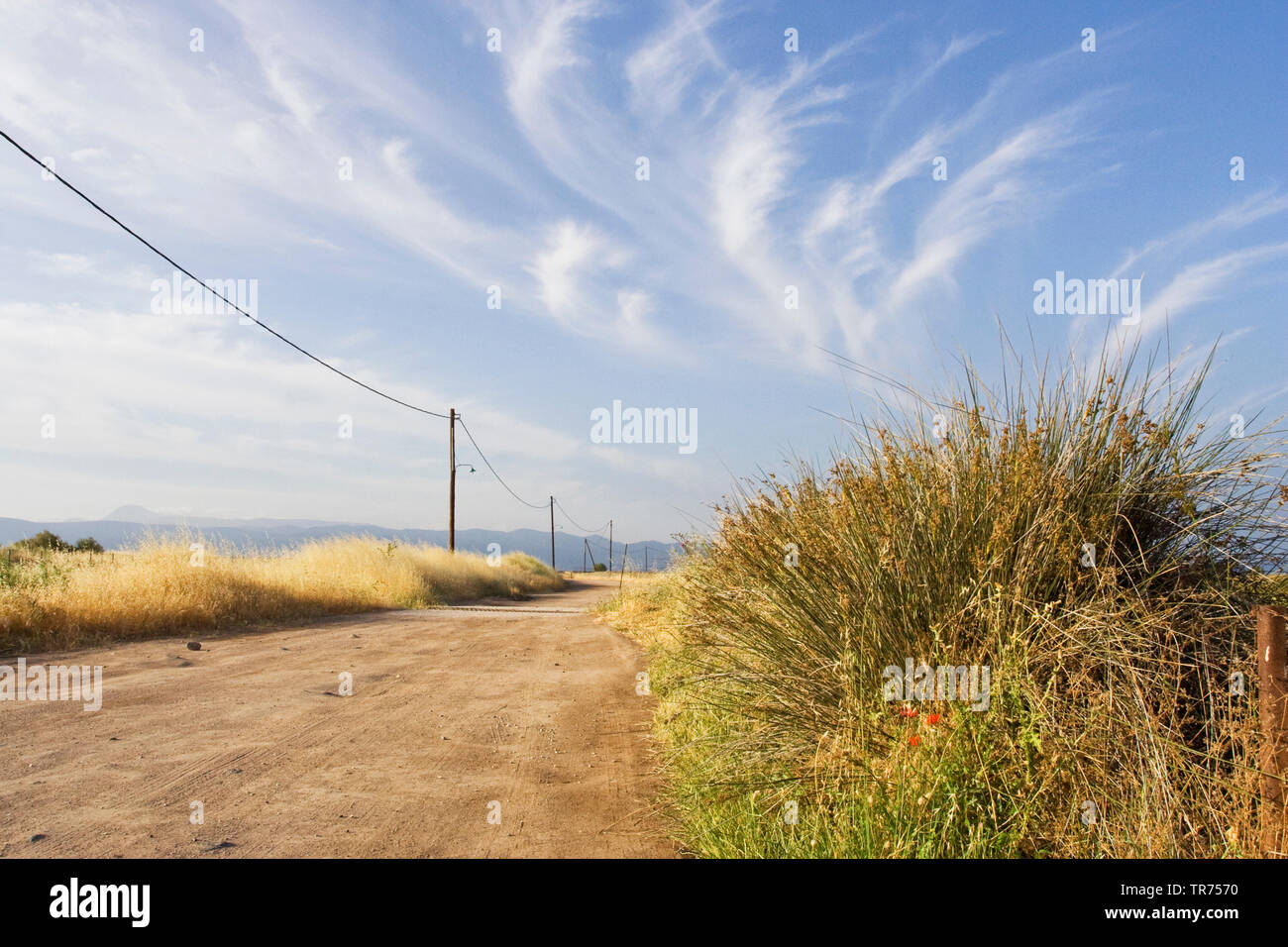Straße durch die Salinen von Skala Kalloni, Griechenland, Lesbos Stockfoto