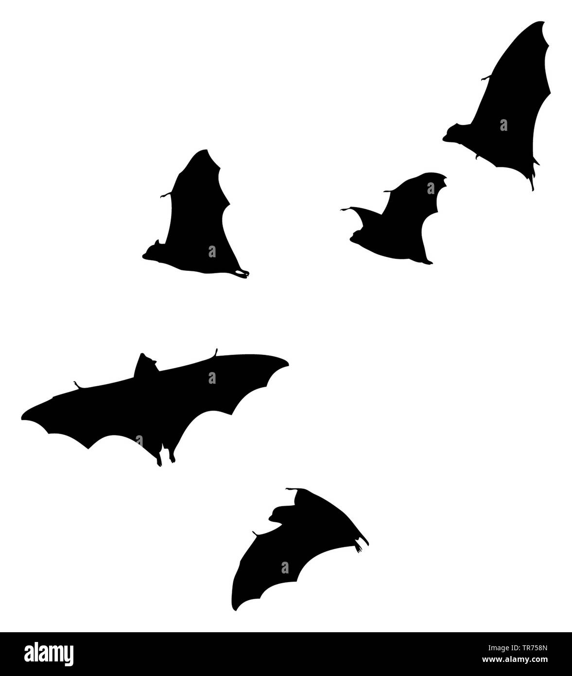 3D Computer Grafik, symbolische Fledermäuse vor weißem Hintergrund (Halloween) Stockfoto